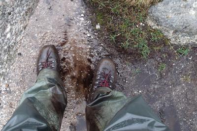 post-1073-0-90201300-1409645631_thumb.jp