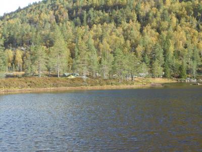 post-11041-0-07333200-1411806758_thumb.j