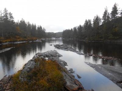 post-11041-0-12809400-1411806623_thumb.j