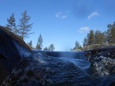 post-11041-0-25278700-1411806888_thumb.j