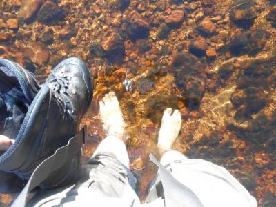 post-11041-0-90977600-1411806823_thumb.j