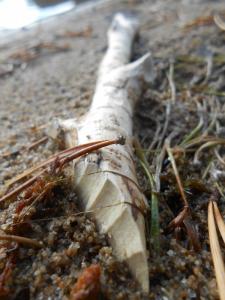 post-11041-0-98327700-1411806721_thumb.j