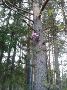 post-11774-0-88461700-1411332646_thumb.j