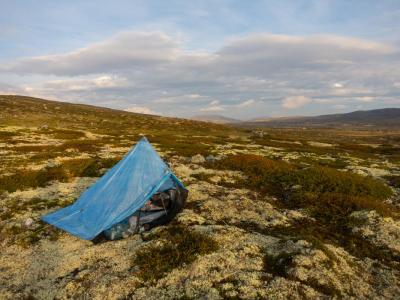 post-13206-0-20501800-1410291514_thumb.j