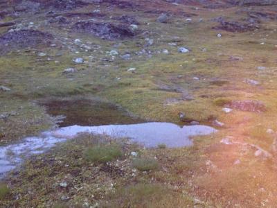 post-13206-0-27802400-1410293845_thumb.j