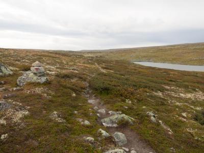 post-13206-0-64750900-1410291645_thumb.j