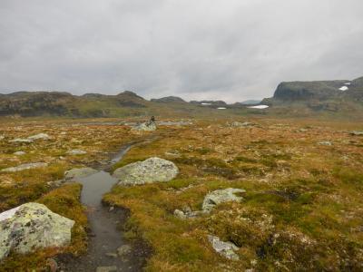 post-13206-0-80342800-1410292360_thumb.j