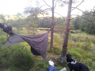 post-14585-0-21550400-1409869941_thumb.j