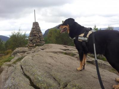 post-14585-0-43927300-1409869748_thumb.j