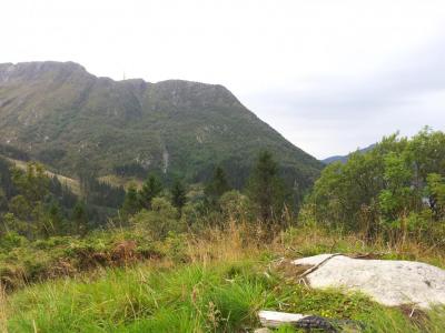 post-14585-0-84453000-1409930143_thumb.j