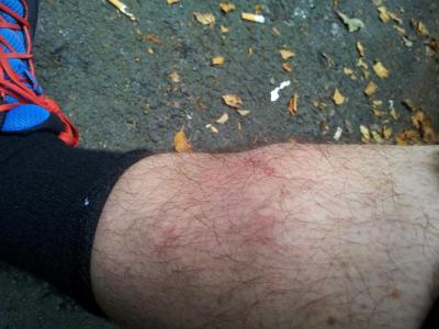 post-14585-0-85225900-1409930306_thumb.j