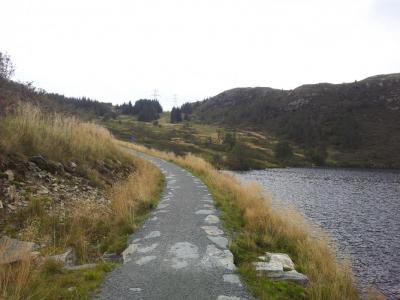 post-14585-0-89697200-1409930208_thumb.j