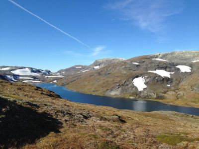 post-14924-0-03780300-1410867955_thumb.j