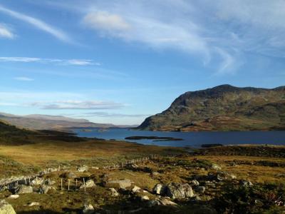 post-14924-0-48510100-1410867834_thumb.j