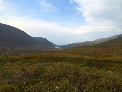 post-15188-0-06519500-1410766516_thumb.j