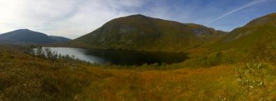 post-15188-0-23569200-1410766495_thumb.j