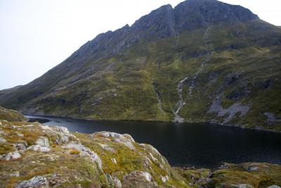 post-15188-0-36153100-1410766471_thumb.j