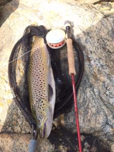 post-15251-0-35826700-1410165838_thumb.j