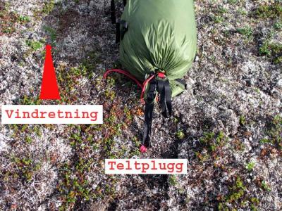 post-15331-0-89621700-1411564018_thumb.j