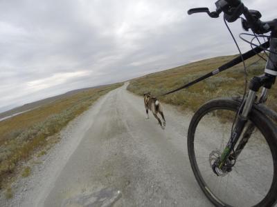 post-2056-0-55850800-1411902877_thumb.jp