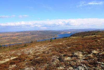 post-4016-0-23736400-1411408955_thumb.jp