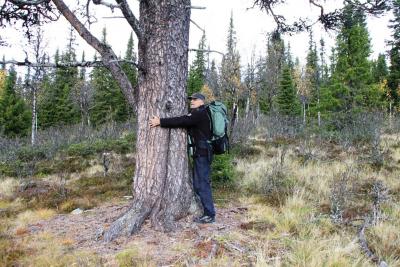 post-4016-0-79356800-1411408894_thumb.jp