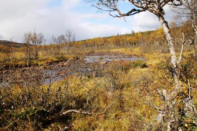 post-4016-0-82014700-1411408946_thumb.jp