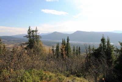 post-4016-0-87571600-1411408958_thumb.jp