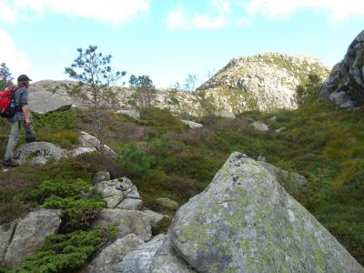 post-4220-0-36061300-1409768329_thumb.jp