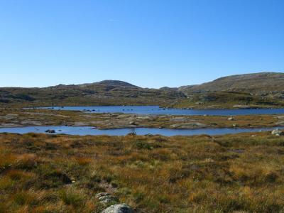 post-4220-0-58388300-1410713995_thumb.jp