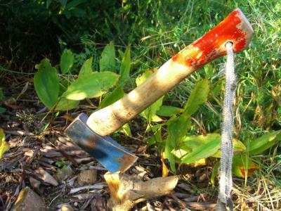 post-4220-0-64616400-1411027865_thumb.jp