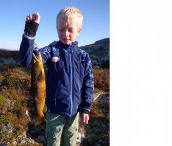 post-6295-0-97377500-1410973421_thumb.jp