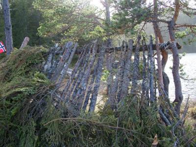 post-6789-0-02030600-1411930022_thumb.jp