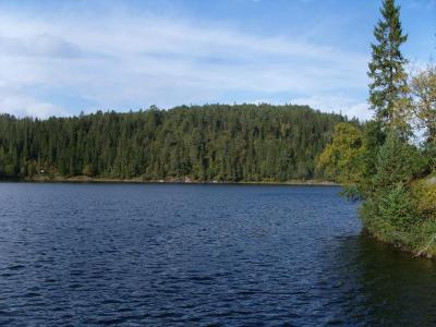 post-6789-0-08081100-1411306334_thumb.jp