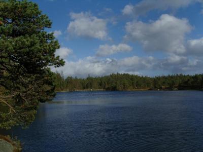 post-6789-0-21233100-1411930052_thumb.jp