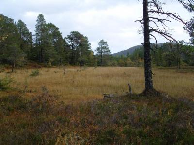 post-6789-0-22942800-1411929973_thumb.jp