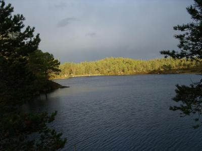 post-6789-0-38611300-1411930371_thumb.jp