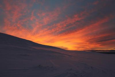 post-8184-0-01517800-1410632614_thumb.jp