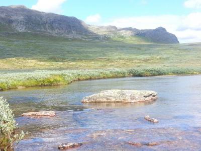 post-8554-0-92494400-1409673652_thumb.jp