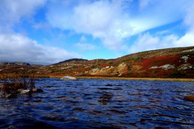 post-9055-0-07695700-1411896786_thumb.jp