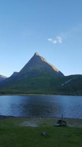 post-10401-0-20232200-1442174108_thumb.j