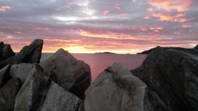 post-10401-0-62056400-1442856579_thumb.j