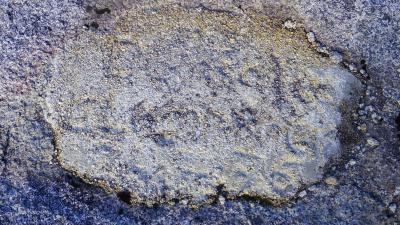 post-10401-0-71117200-1442947023_thumb.j