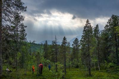 post-1125-0-09810200-1441349807_thumb.jp