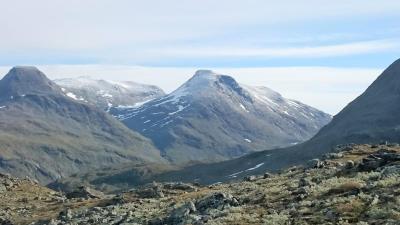 post-12082-0-07634200-1441832664_thumb.j