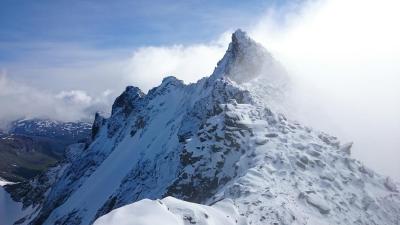 post-12082-0-50275800-1441832913_thumb.j