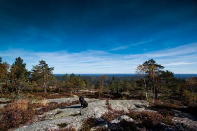 post-12278-0-00905300-1443550726_thumb.j