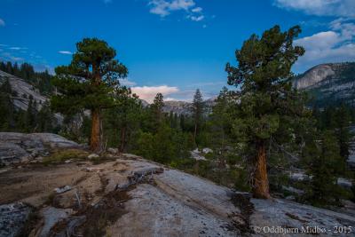 post-13206-0-21161300-1443106168_thumb.j