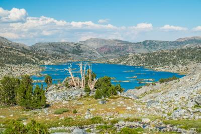 post-13206-0-24178700-1443106911_thumb.j