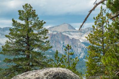 post-13206-0-27616200-1443106171_thumb.j